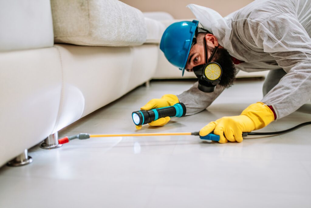 Campbell Termite Control