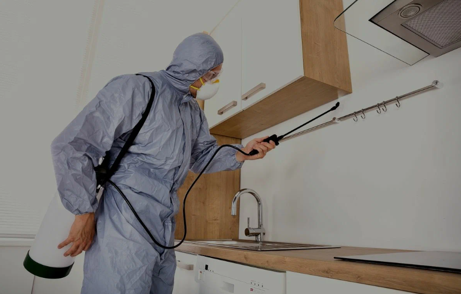 Campbell pest managment